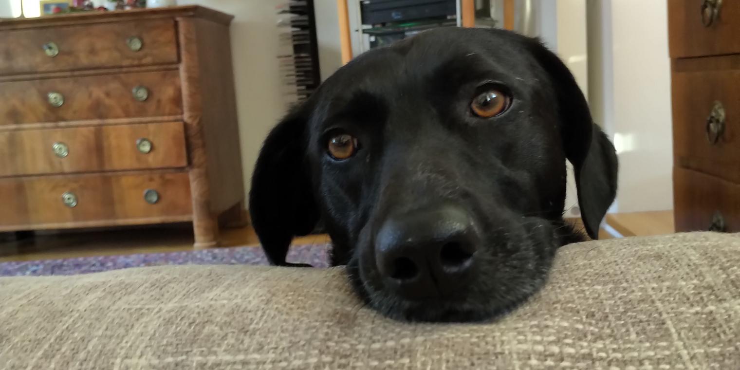 img_20221208_1446143