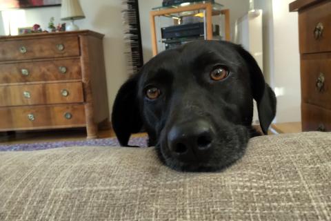 img_20221208_1446143